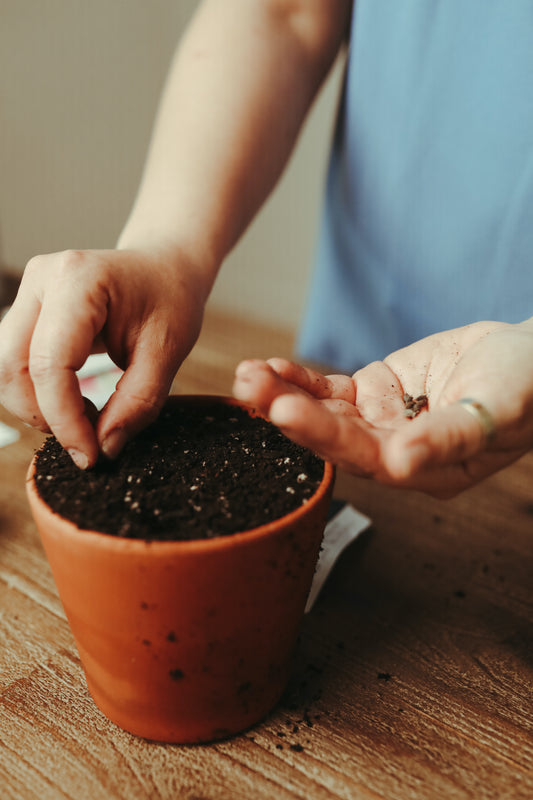 Fall Flower Subscription